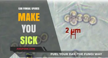Can Fungal Spores Make You Sick? Understanding Health Risks and Prevention