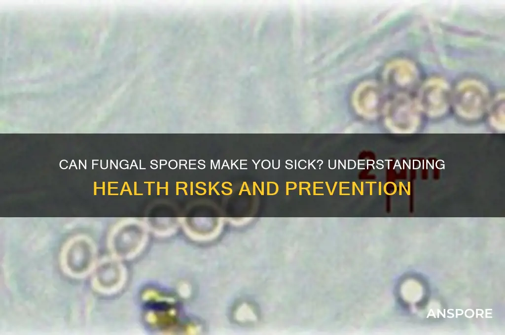 can fungal spores make you sick