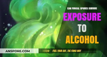 Alcohol's Effectiveness Against Fungal Spores: Survival or Elimination?