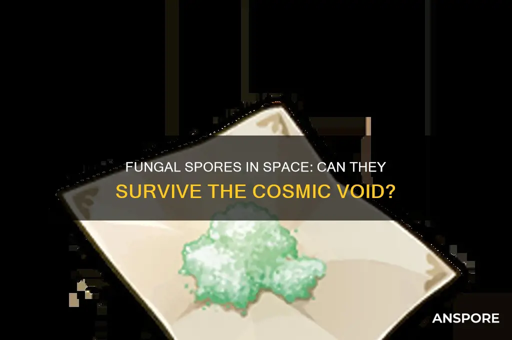 can fungal spores survive in outer space