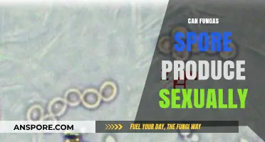 Exploring Fungal Reproduction: Can Spores Be Produced Sexually?