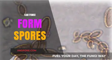 Unveiling the Truth: Can Fungi Form Spores and How?