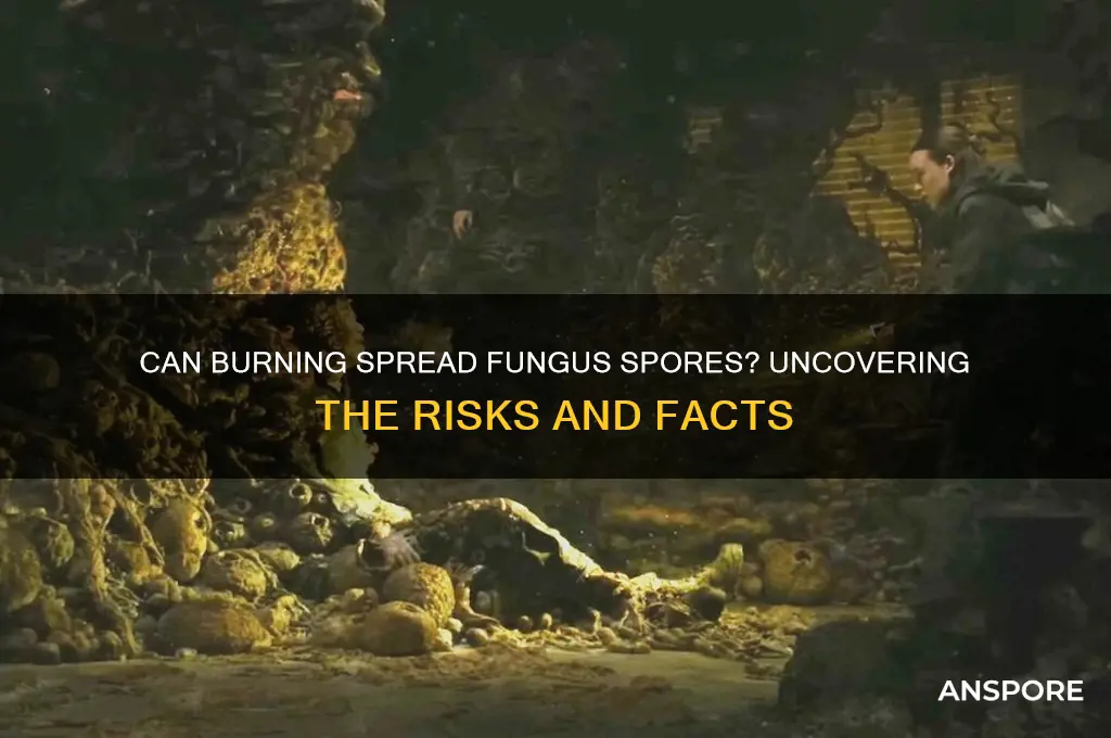 can fungus spores be spread by burning