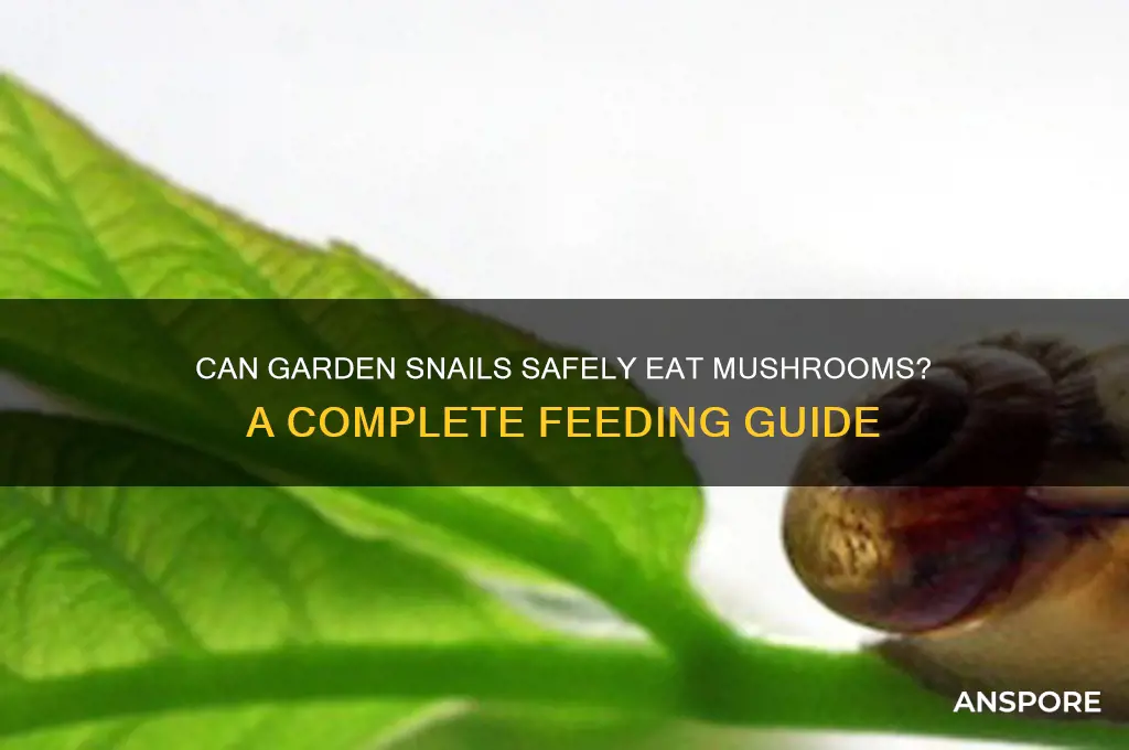 can garden snails eat mushrooms