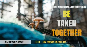 Exploring Genius Mushrooms and Consciousness: Safe Combination or Risky Mix?