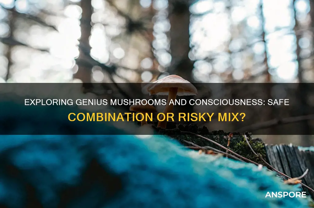 can genius mushrooms and conciousness be taken together