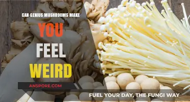 Can Genius Mushrooms Cause Unusual Sensations? Exploring Their Effects