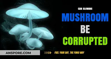 Can Glowing Mushrooms Be Corrupted? Exploring Bioluminescent Fungal Vulnerabilities