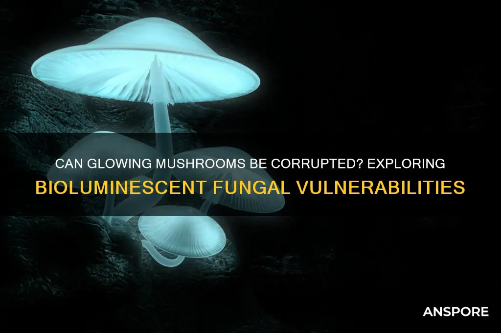 can glowing mushroom be corrupted