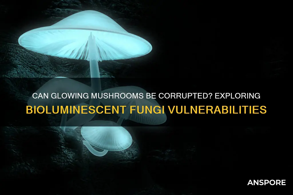 can glowing mushroom be courrupted