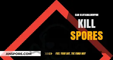 Glutaraldehyde's Effectiveness Against Spores: Can It Kill Them?