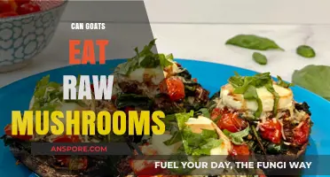 Can Goats Safely Eat Raw Mushrooms? Risks and Benefits Explained