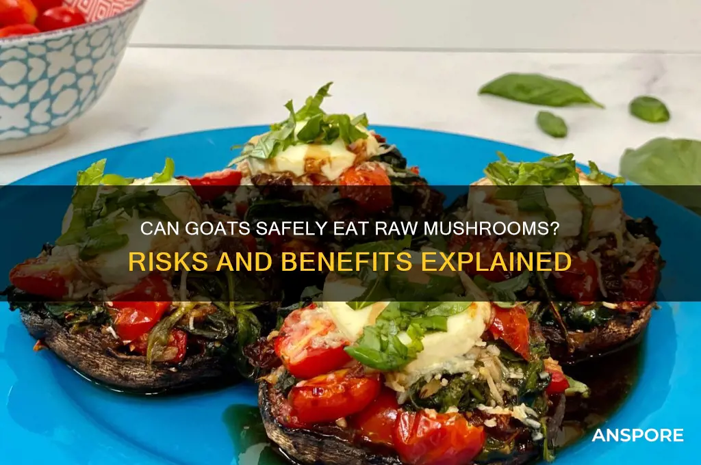 can goats eat raw mushrooms