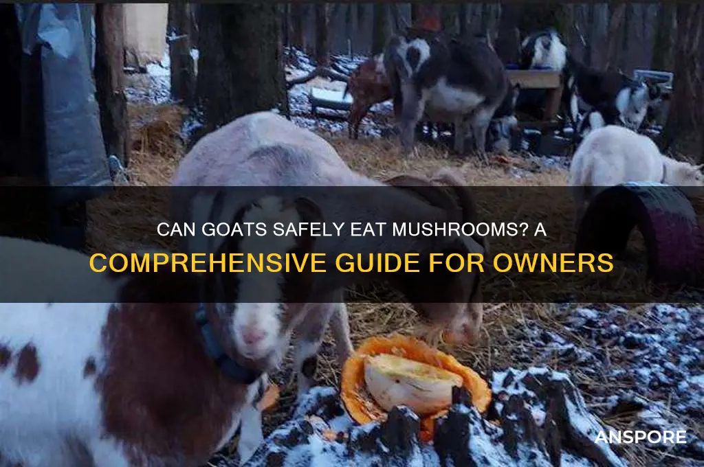 can goats have mushrooms