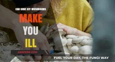 Can Spoiled Mushrooms Make You Sick? Risks and Symptoms Explained