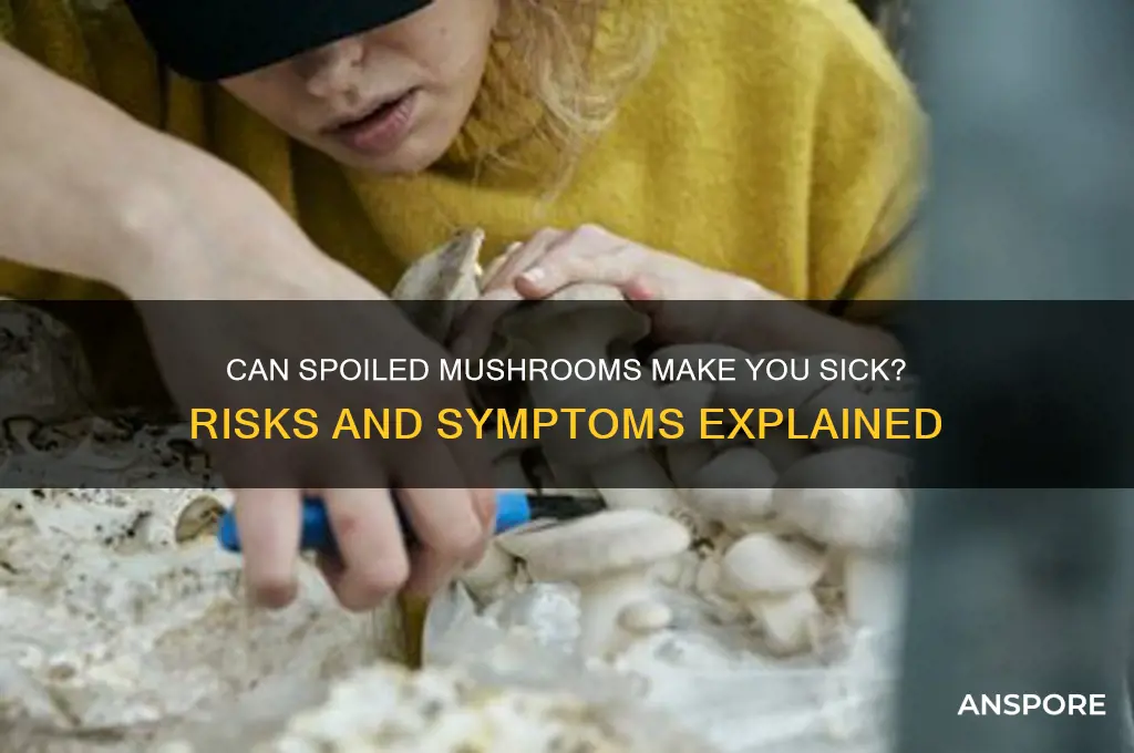 can gone off mushrooms make you ill
