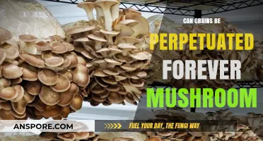 Can Grains and Mushrooms Sustain Infinite Growth Together?