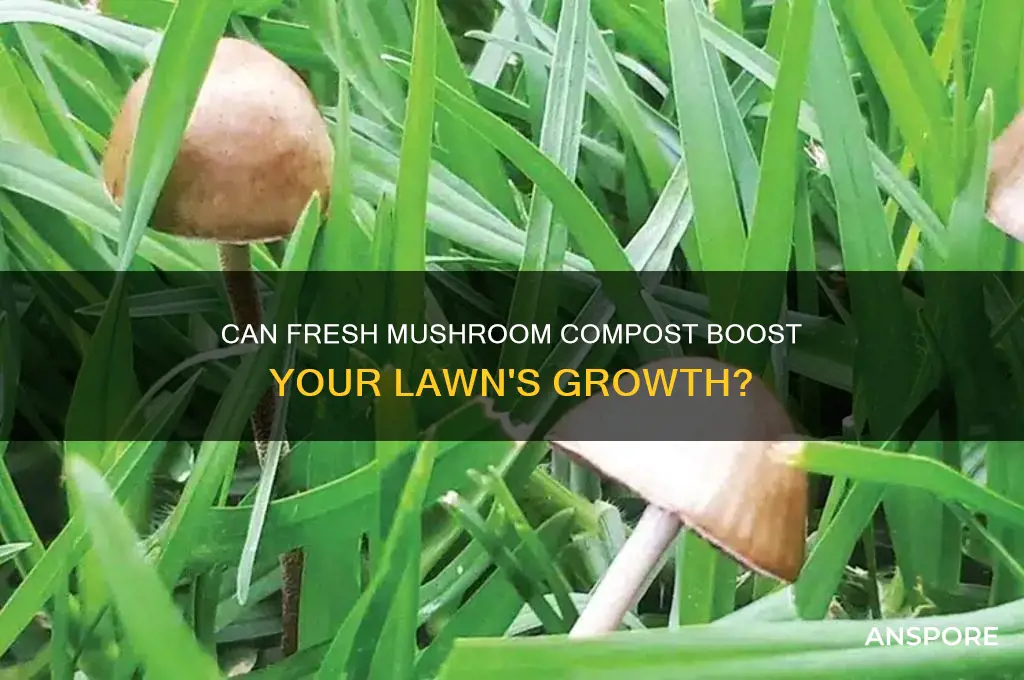 can grass grow in fresh mushroom compost