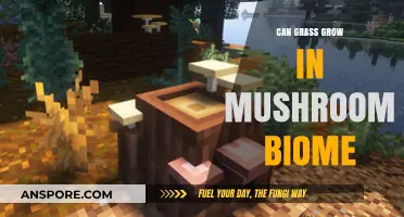 Can Grass Thrive in Mushroom Biomes? Exploring Growth Possibilities