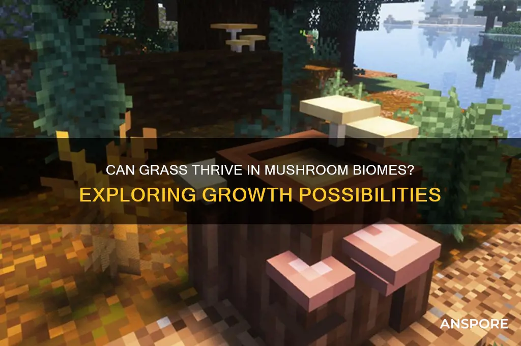 can grass grow in mushroom biome