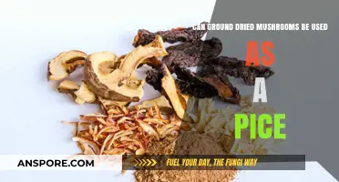 Ground Dried Mushrooms as Spice: Flavorful Alternative or Culinary Myth?