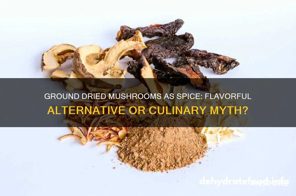 can ground dried mushrooms be used as a pice