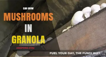 Growing Mushrooms in Granola: Unconventional Tips for Edible Cultivation