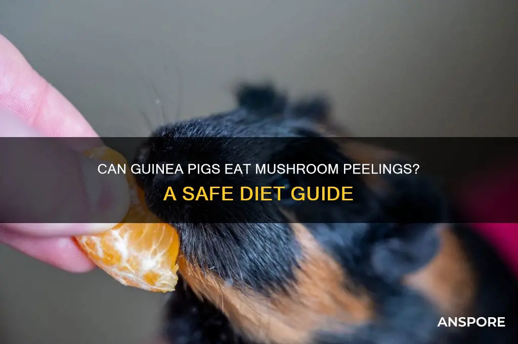 can guinea pigs eat mushroom peelings