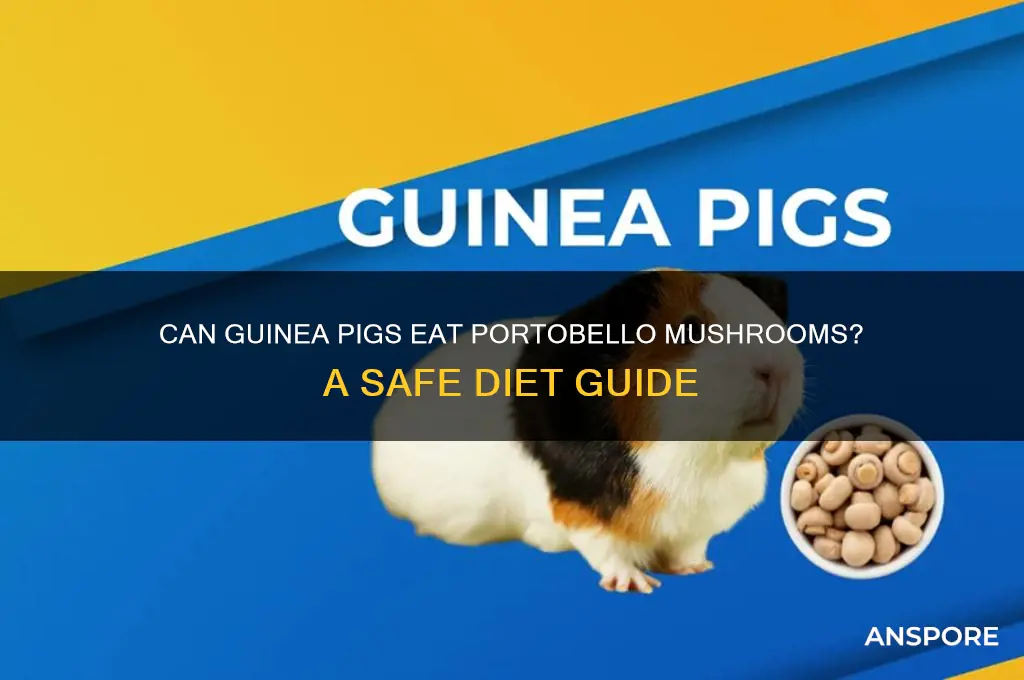 can guinea pigs have portobello mushrooms