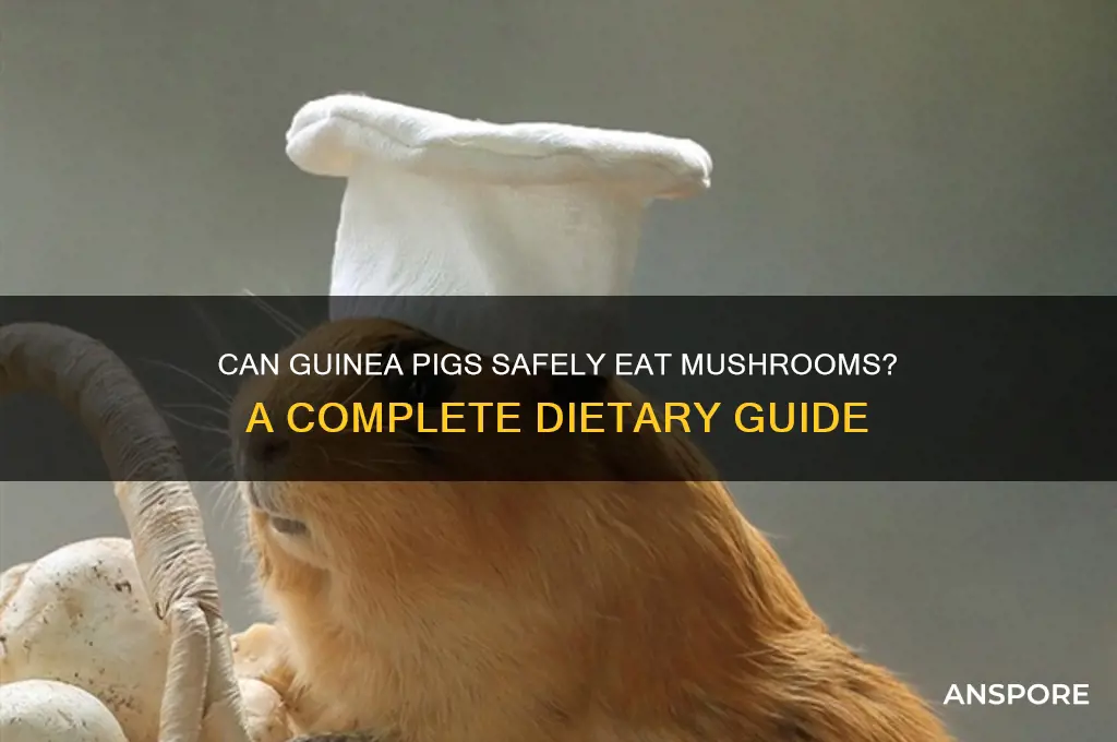 can guineas eat mushrooms