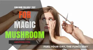 Can Hair Follicle Tests Detect Magic Mushroom Use?