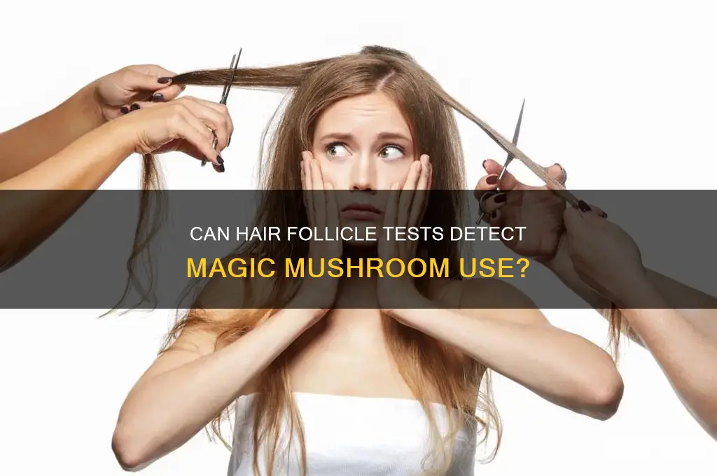 can hair follicle test for magic mushroom