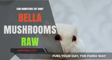 Can Hamsters Safely Eat Raw Baby Bella Mushrooms? A Guide