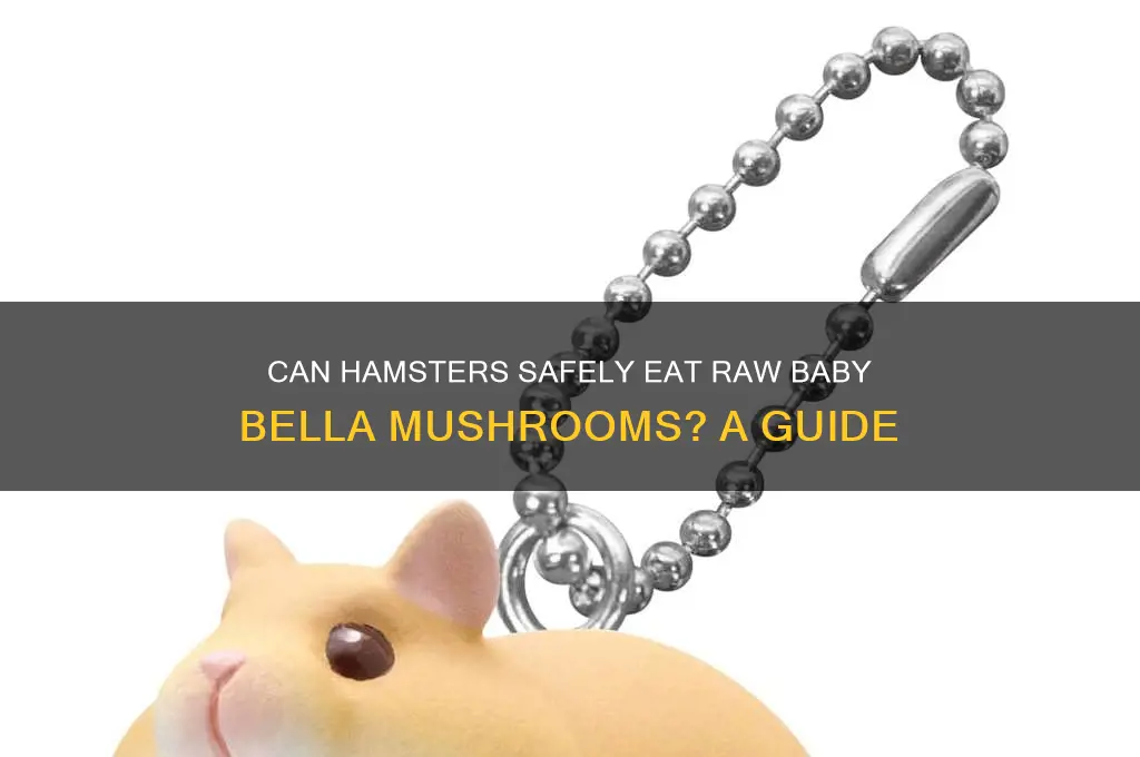 can hamsters eat baby bella mushrooms raw
