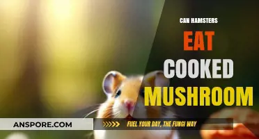 Can Hamsters Safely Eat Cooked Mushrooms? A Complete Guide