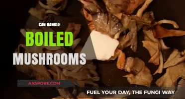 Mastering Boiled Mushrooms: Tips for Perfect Texture and Flavor Every Time