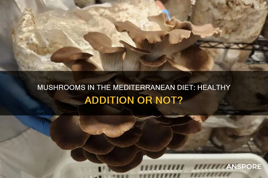 can have mushroom on mediterranean diet