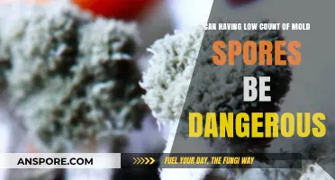 Low Mold Spores: Hidden Dangers or Harmless Levels?