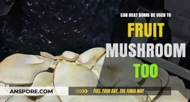 Can Heat Shock Techniques Enhance Mushroom Fruiting Yield?