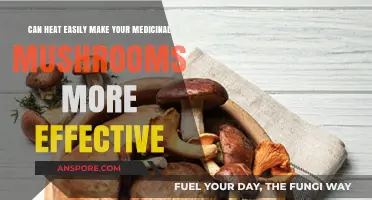 Heat's Surprising Impact: Boosting Medicinal Mushroom Potency and Benefits