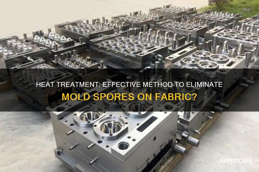 can heat kill mold spores on fabric