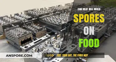 Does Heat Effectively Eliminate Mold Spores on Food? Find Out Here