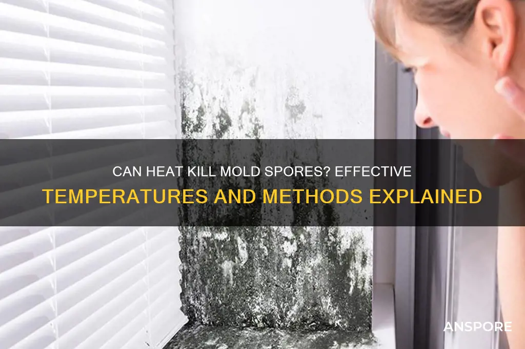 can heat kill mold spores