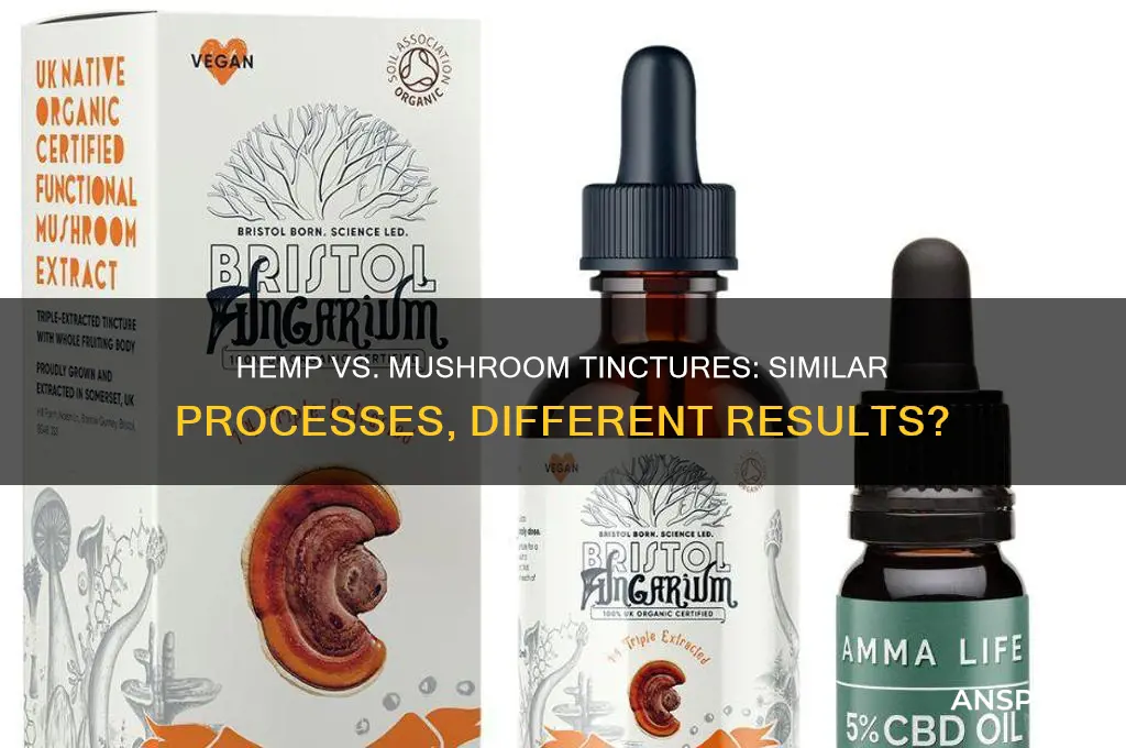 can hemp tincture be made like mushroom tincture