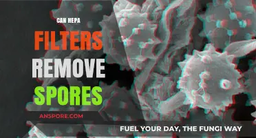 Can HEPA Filters Effectively Remove Spores from Indoor Air?