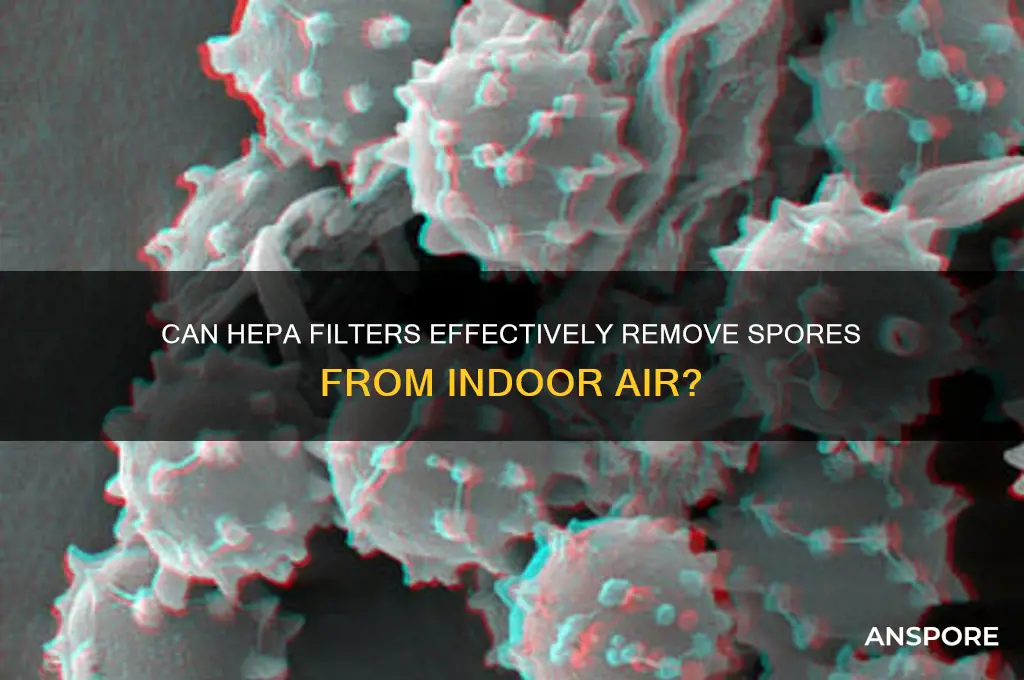 can hepa filters remove spores