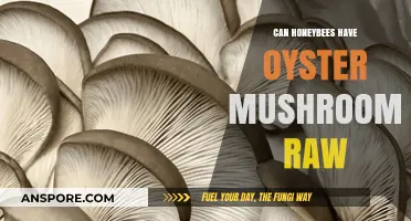 Can Honeybees Safely Consume Raw Oyster Mushrooms? Exploring the Facts