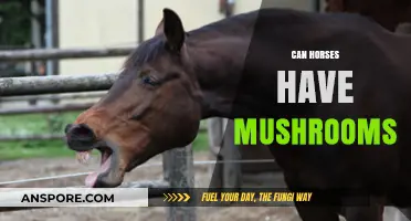 Can Horses Safely Eat Mushrooms? A Comprehensive Guide for Owners