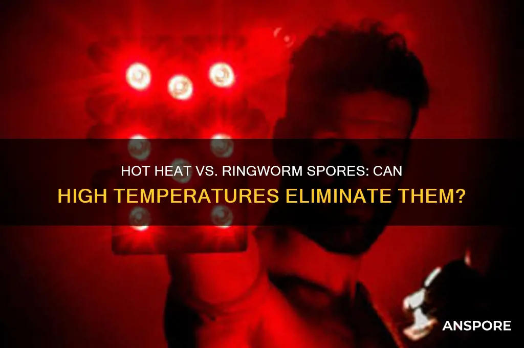 can hot heat kill ring worm spores