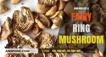 Can You Safely Eat Fairy Ring Mushrooms? A Foraging Guide